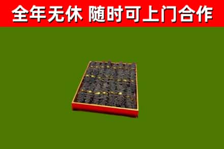 娄底市回收海参